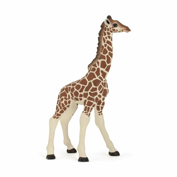 Cucciolo di giraffa 50100