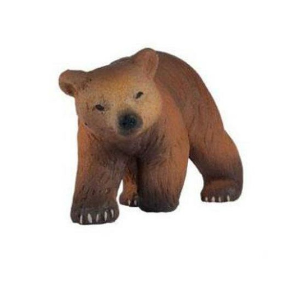 Cucciolo di Orso dei Pinerei 50031