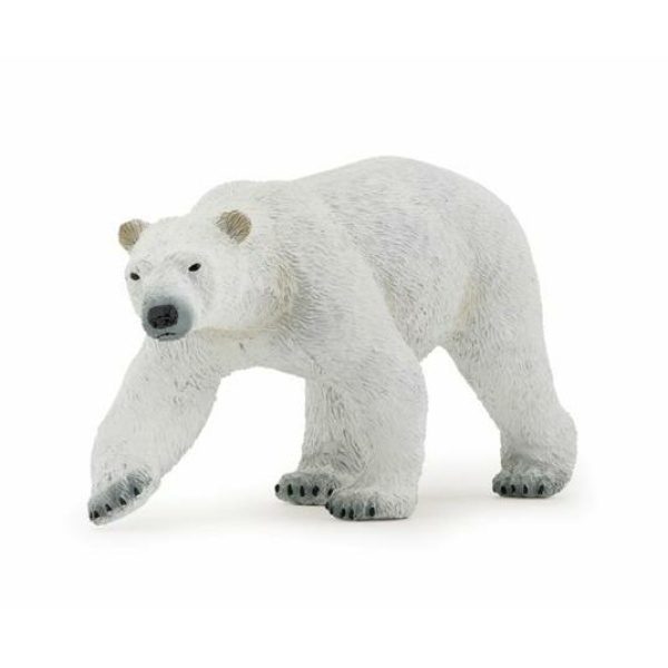 Orso Polare 50142