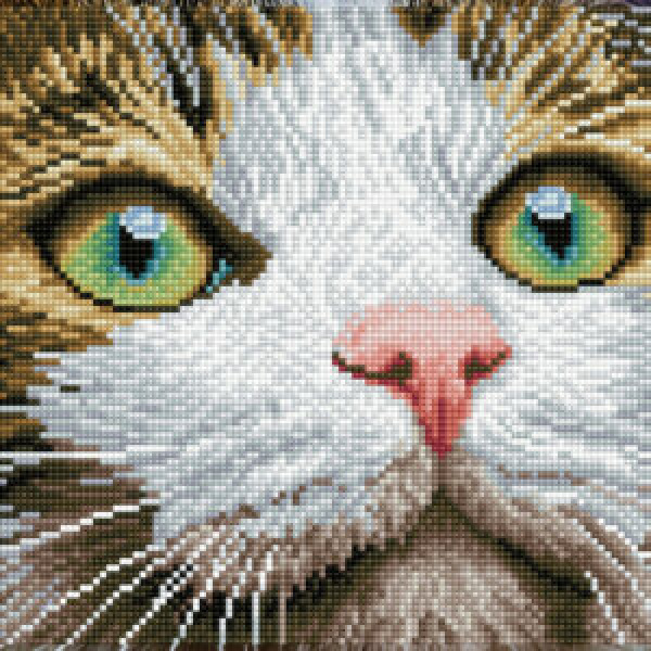 Kit Diamond Dotz - Green Eyes per Principianti (DD2.062)