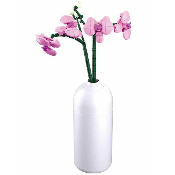 Orchidea con Vaso