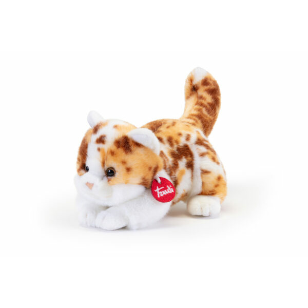 Peluche - Gattino Brad Maculato - S