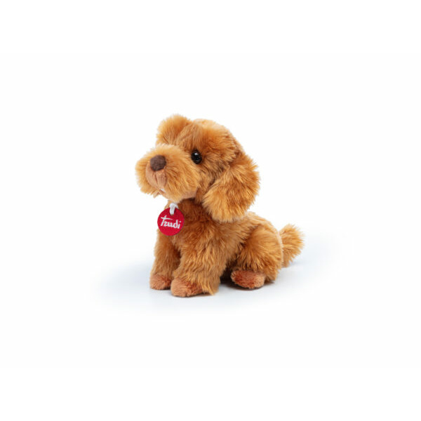Peluche - Barboncino Toy oliver - S