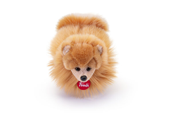 Peluche - Pomerania Biscuit - S - immagine 2