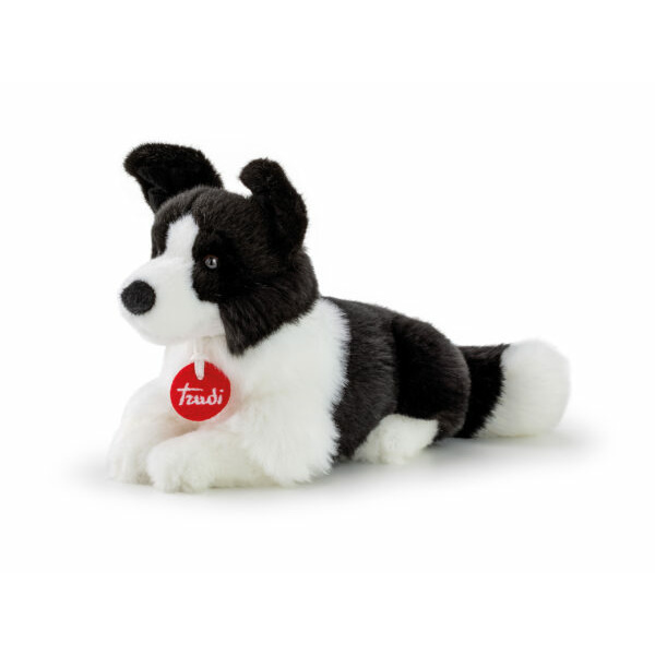 Peluche - Border Collie Scott - M